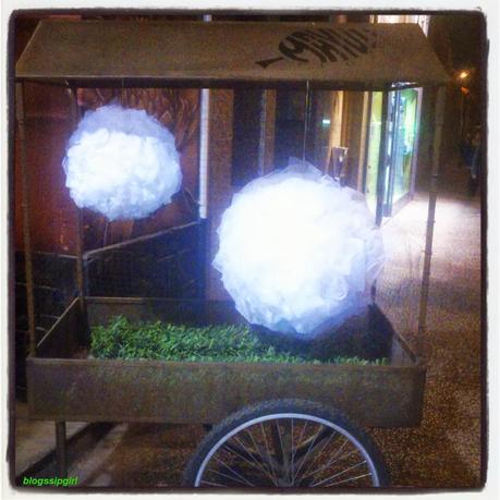 S. TE PRESENTA: MAYULA FLORES S. TE PRESENTA: MAYULA FLORES