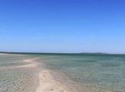 Sobre ´combates`y ´ceremonias´, ednodio quintero