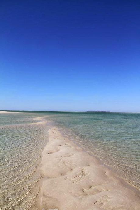 SOBRE ´COMBATES`Y ´CEREMONIAS´, DE EDNODIO QUINTERO