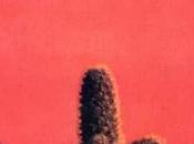 CACTUS Cactus, 1970