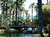 Gymkana Bloggers Panama Jack Natur