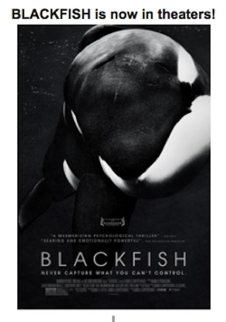 Documental Blackfish