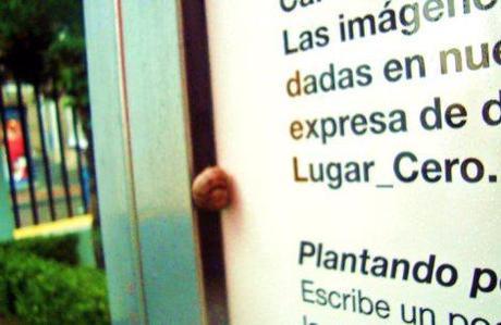 Nace en México el primer fondo de inversión para la creación de colecciones de arte contemporáneo:Lugar_0 294427_268465573164285_1396867_n