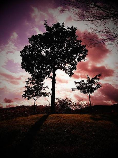 Androidografia Barakaldo CCCXCIV. Planta un Arbol II Androidografia Barakaldo 1607