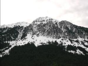 PUNTA BOLTORIN 2252 CORONA LIERGA 2242 PUNTA LLERGA 2267