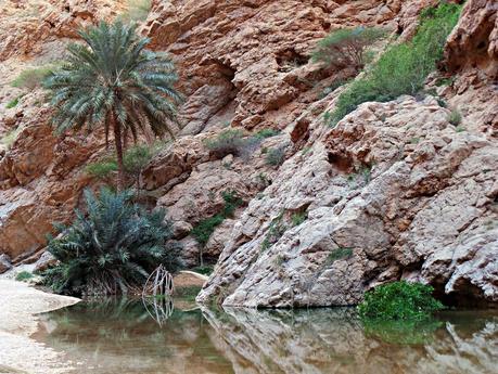 Los wadis de Omán, ríos de vida Los wadis de Omán, ríos de vida