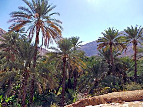 Los wadis de Omán, ríos de vida Los wadis de Omán, ríos de vida