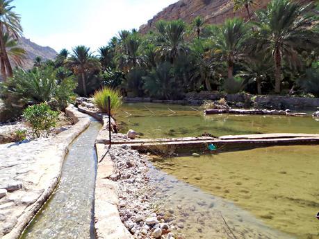 Los wadis de Omán, ríos de vida Los wadis de Omán, ríos de vida