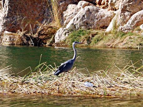 Los wadis de Omán, ríos de vida