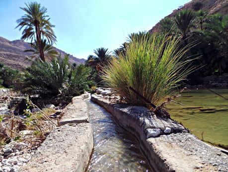 Los wadis de Omán, ríos de vida Los wadis de Omán, ríos de vida