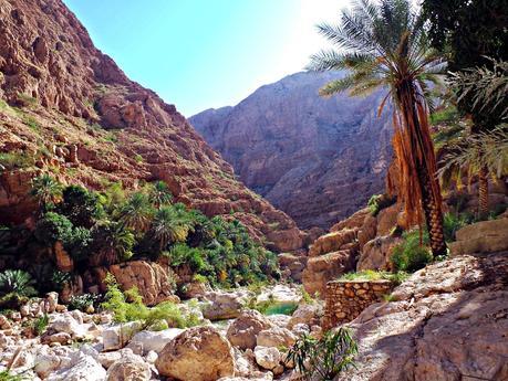 Los wadis de Omán, ríos de vida Los wadis de Omán, ríos de vida