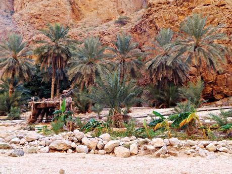 Los wadis de Omán, ríos de vida Los wadis de Omán, ríos de vida