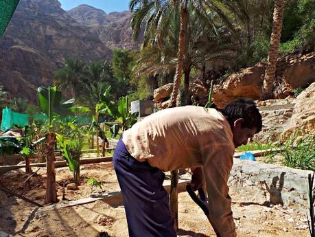 Los wadis de Omán, ríos de vida Los wadis de Omán, ríos de vida