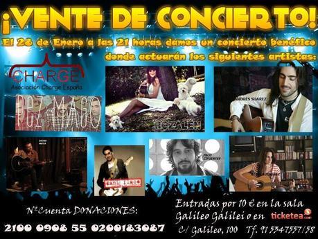 Concierto solidario a favor del síndrome de Charge