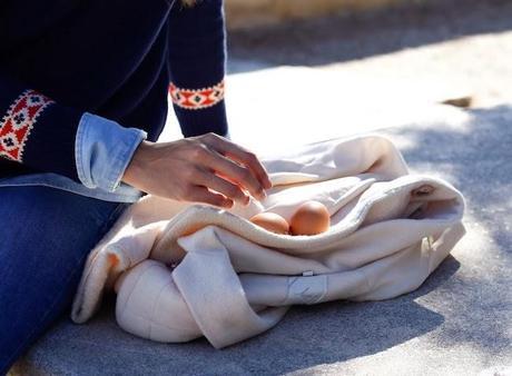 Panama Jack Adventure