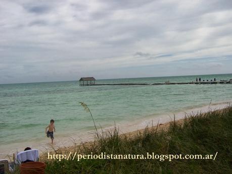 ¡Vacaciones en Cuba!