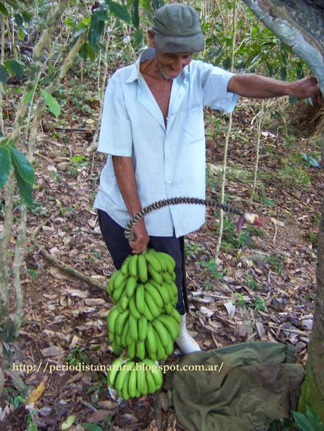 ¡Vacaciones en Cuba!