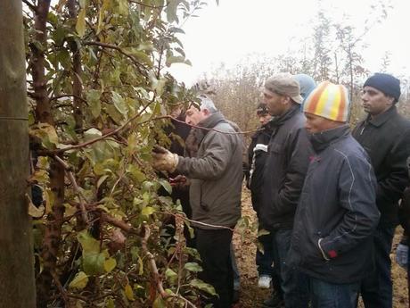 LA TERRA ÉS LA VIDA...¡¡¡...https://www.facebook.com/fundacio.pagesossolidaris...!!!...26-01-2014...!!!