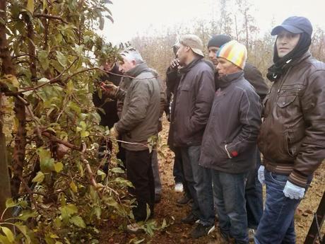 LA TERRA ÉS LA VIDA...¡¡¡...https://www.facebook.com/fundacio.pagesossolidaris...!!!...26-01-2014...!!!