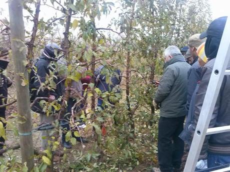 LA TERRA ÉS LA VIDA...¡¡¡...https://www.facebook.com/fundacio.pagesossolidaris...!!!...26-01-2014...!!!