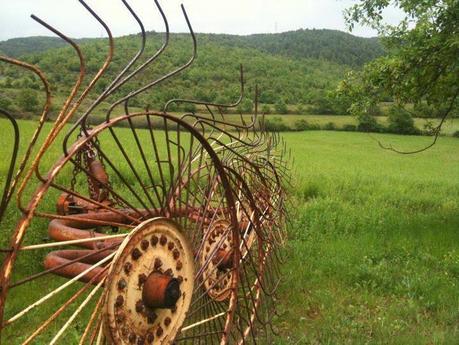 LA TERRA ÉS LA VIDA...¡¡¡...https://www.facebook.com/fundacio.pagesossolidaris...!!!...26-01-2014...!!!