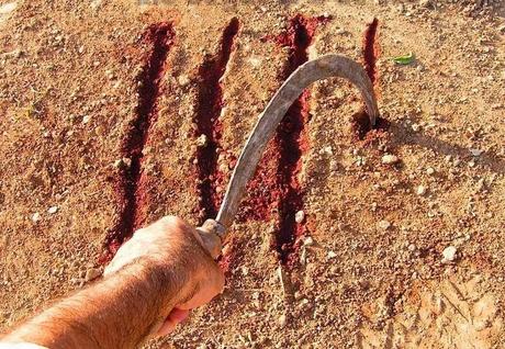 LA TERRA ÉS LA VIDA...¡¡¡...https://www.facebook.com/fundacio.pagesossolidaris...!!!...26-01-2014...!!!