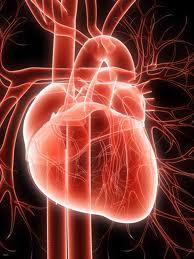 Microparticulas para tratar el Infarto del Miocardio