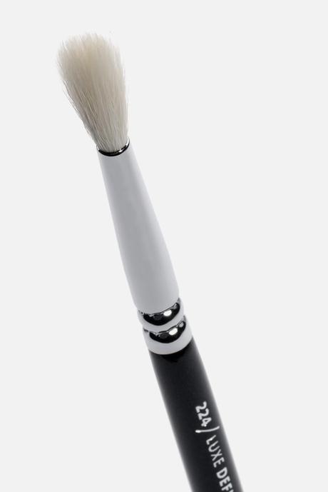 Brochas nuevas de Zoeva