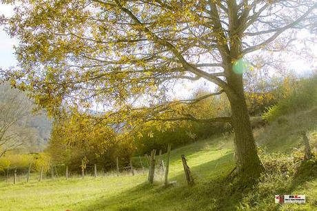 Rincones de Garabandal