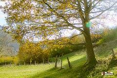 Apariciones en Garabandal