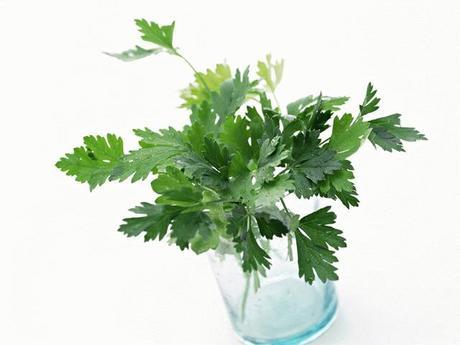 Perejil en agua perejil en agua