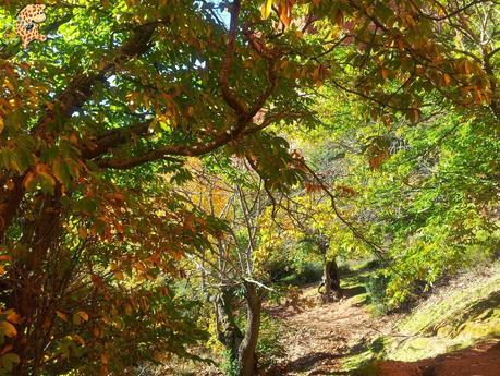 Las Médulas - León