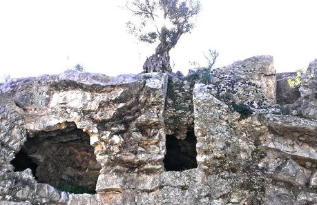 Yacimiento Arqueologico Puig Des Molins