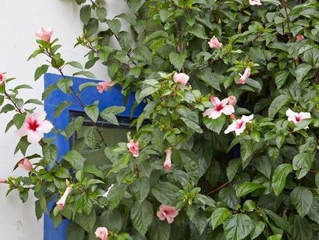 Catálogo Zara Home primavera-verano 2014