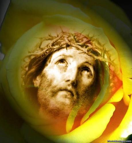 522654_405554352875038_196552157_n