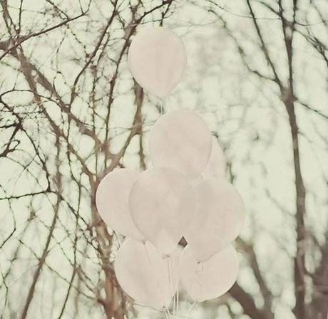 The kid and my Camera The kid and my Camera