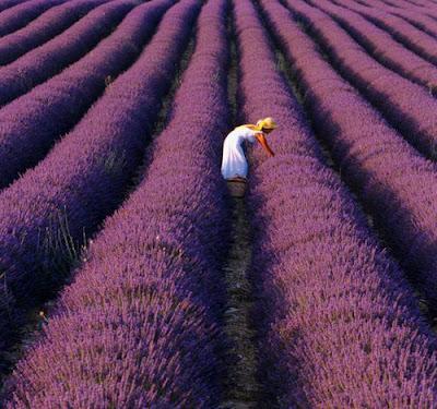 HOY COMPARTIMOS...10 COSAS QUE HACER ANTES DE ACABAR 2014 HOY COMPARTIMOS...10 COSAS QUE HACER ANTES DE ACABAR 2014