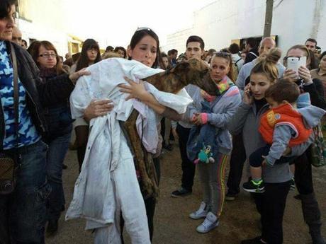 Chanel, del infierno de Mairena a una vida mejor, ahora busca hogar. (SEVILLA)