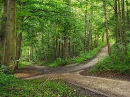 ELEGIR LO MÁS FÁCIL