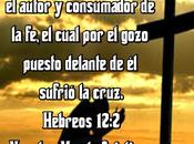 maravilla cruz