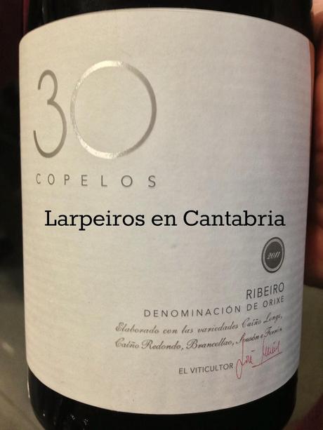 Vino Tinto 30 Copelos 2011: En buena compañía