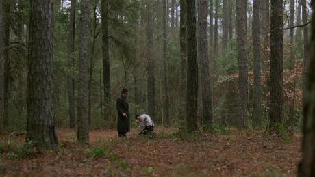 What's the rumpus?: Sexto aniversario What's the rumpus?: Sexto aniversario