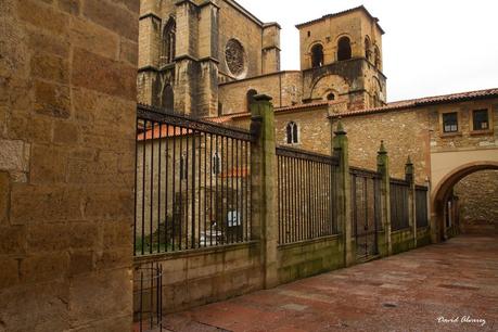 Las salamandras del Oviedo antiguo: un estudio histórico y biológico