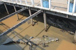 Día 10: La maravilla de Angkor, parte 2 y visita a Tonle Sap Lake.