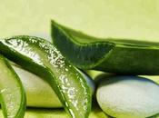 Aloe vera para cáncer