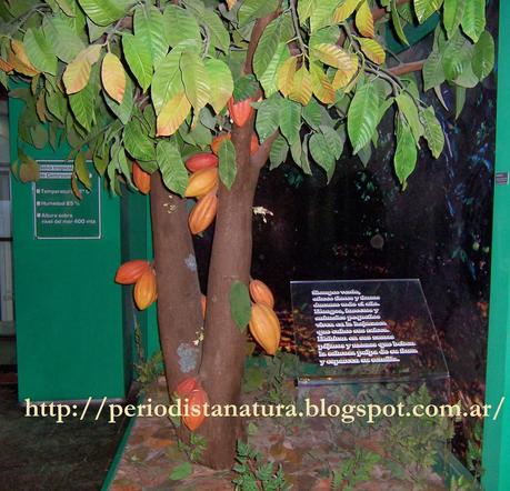 Visita al Museo del Chocolate en Bariloche