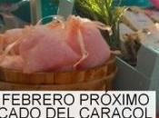 Mercado Caracol, cita consumo responsable Majadahonda (Madrid)