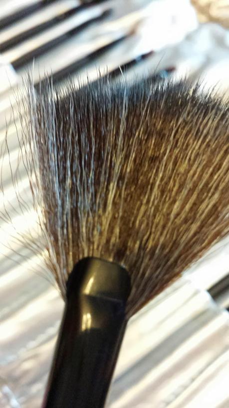 Colaboración con Sammy Dress