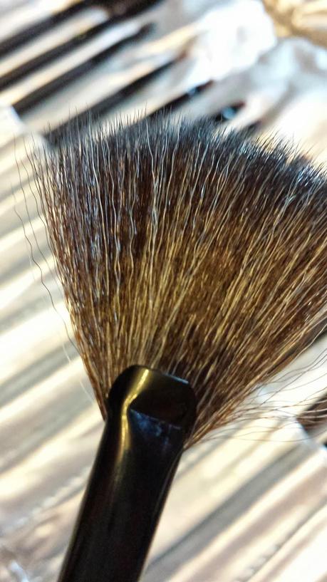 Colaboración con Sammy Dress