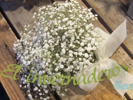 el ramo de la novia ei4